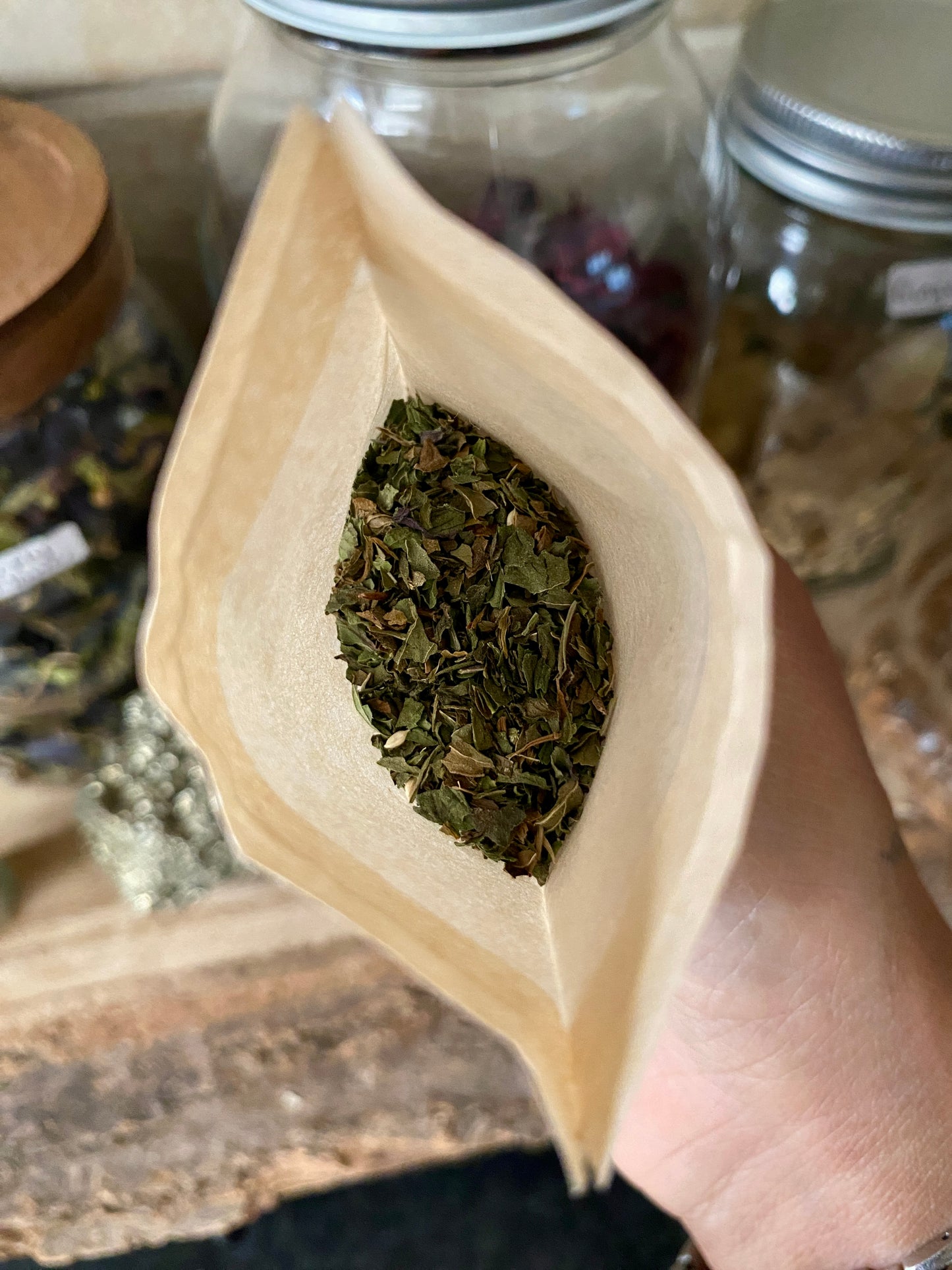 ‘Mint Garden’ 4 pack